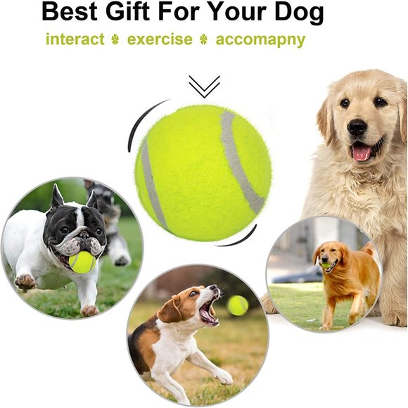 20 Pack Tennis Balls for Small Dogs, Pet Toys for Playing and Training, 2 inch - Picture 2 of 6
